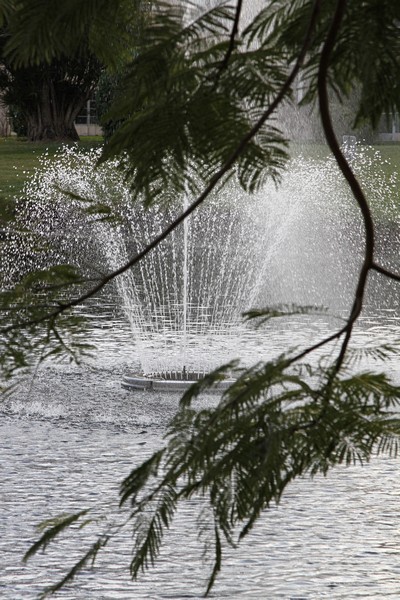 2.  An aeration fountain on the lake.