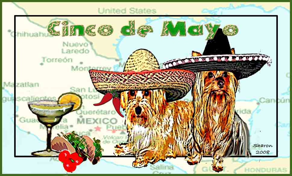 Cindo de Mayo 2008