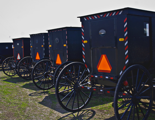 Amish Buggies