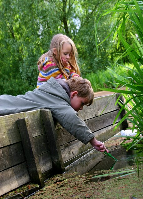 Pond Dipping