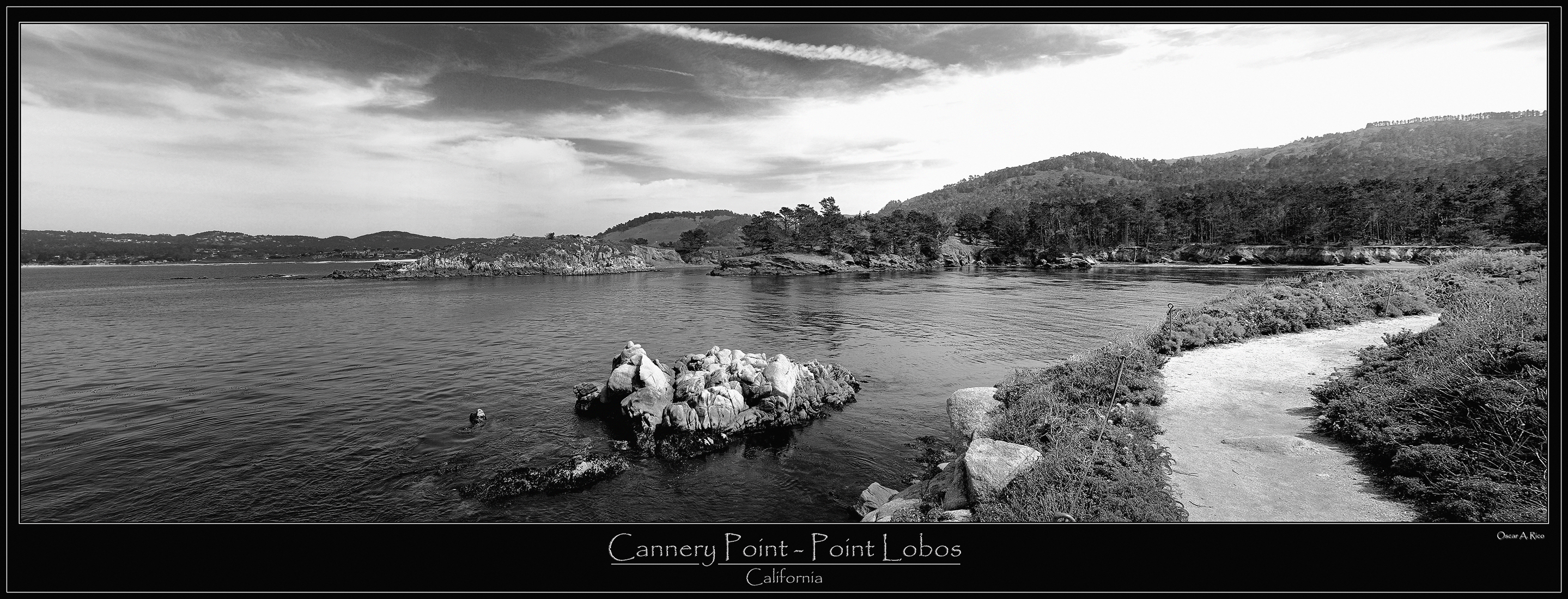 Cannery Point - Point Lobos - California.jpg