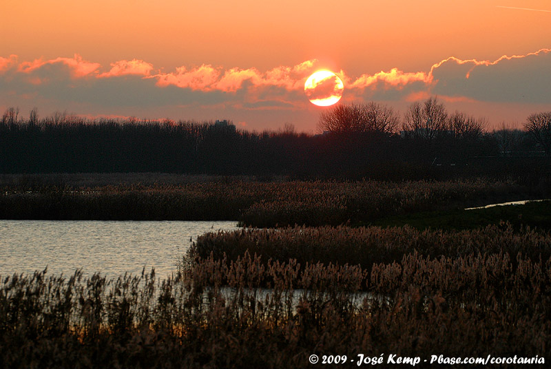 Sunset at Starrevaart