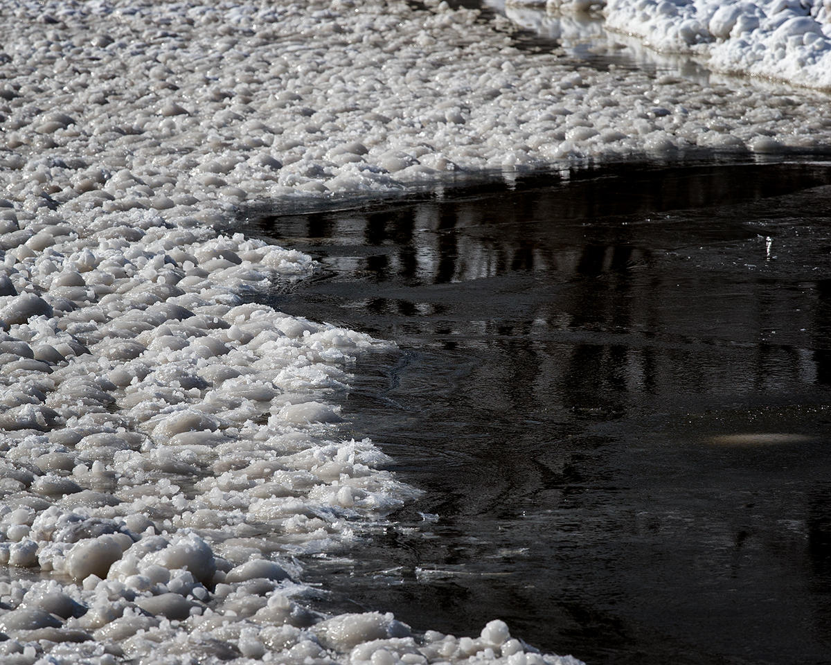 Harbor Ice