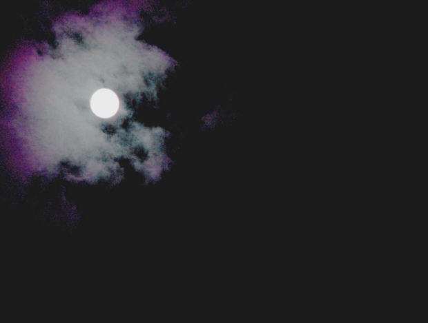 o2/53/67053/1/106800995.735J53qu.xmoonshot3620x469.jpg