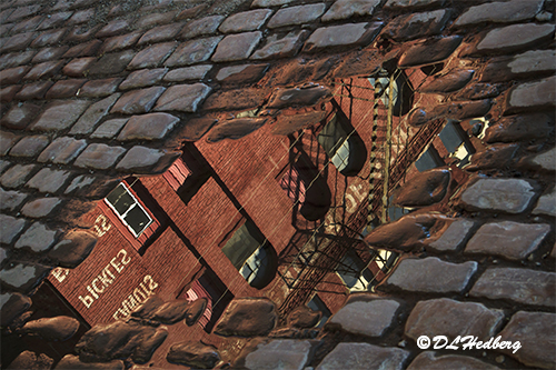 Urban Reflection