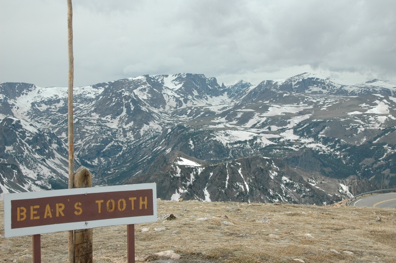 The Bear Tooth