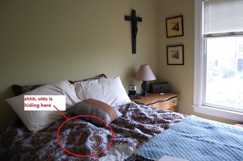 bedroom (& ottos lump)