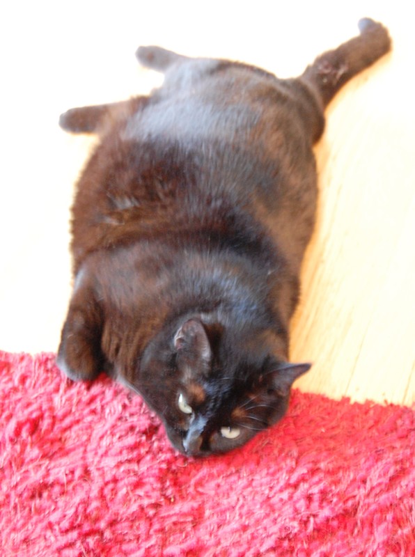 iris holding down the side of the rug