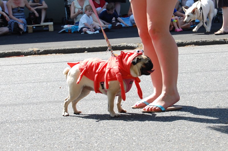 DSC_0758.JPG