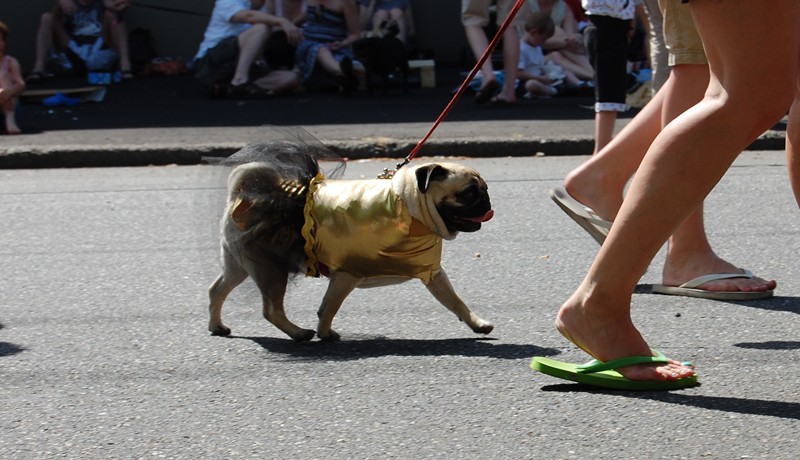 DSC_0764.JPG