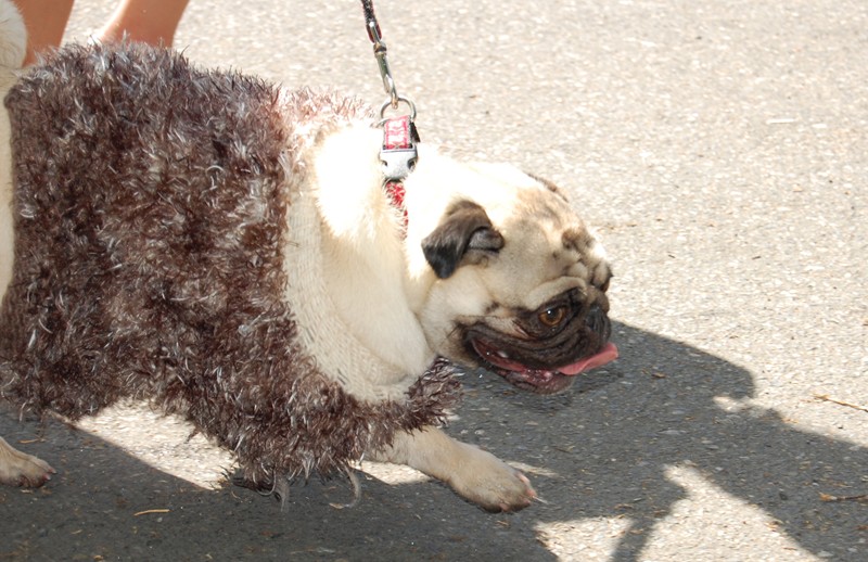 DSC_0769.JPG