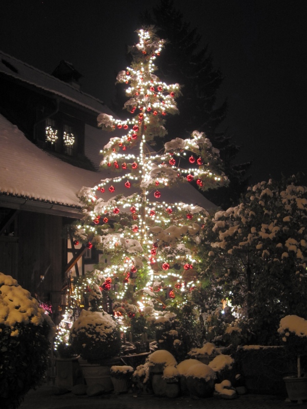 Christmas tree at the farmhouse