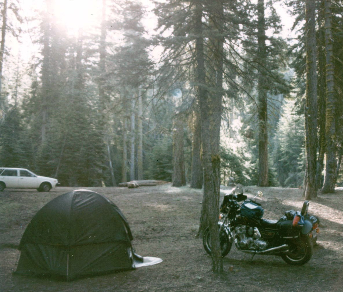 Camping in the Sequoias