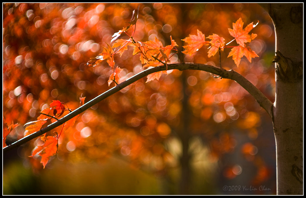 web_066W6769.jpg