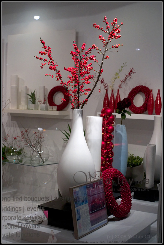 Wild Thyme boutique Window Display