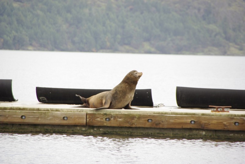 Taking a break from fishing