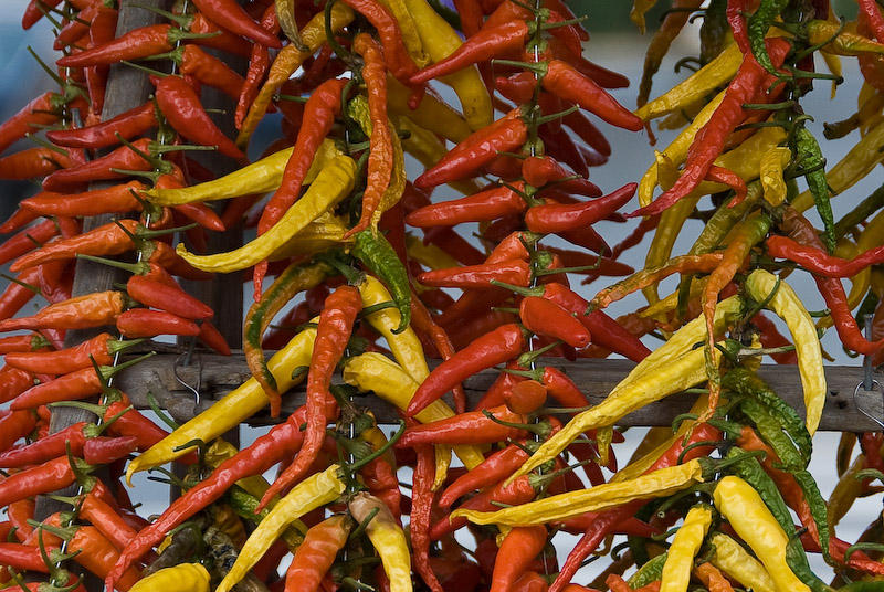 Peppers Galore