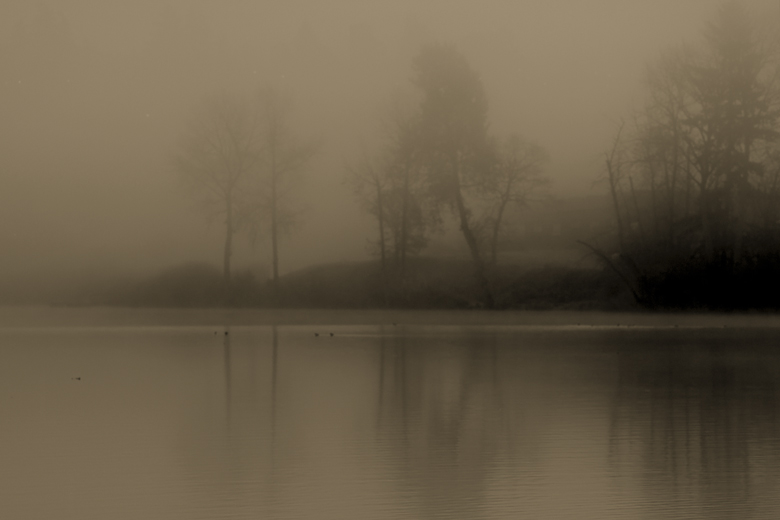 Morming Mist on Quamichan Lake