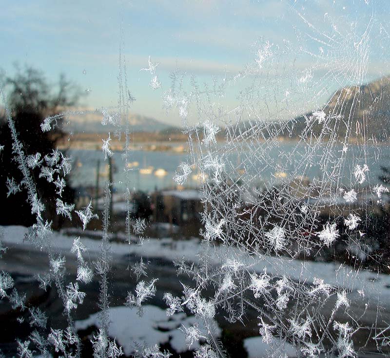 Frosty Web  Over the Bay