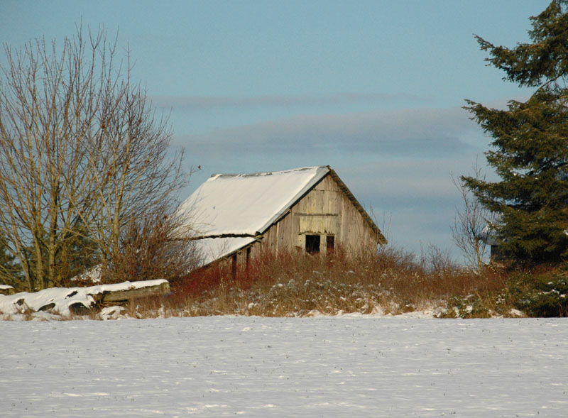 Lonely Farm House