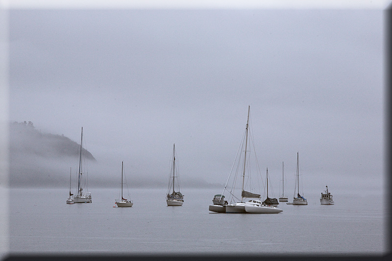 Foggy Morning in Cowichan Bay