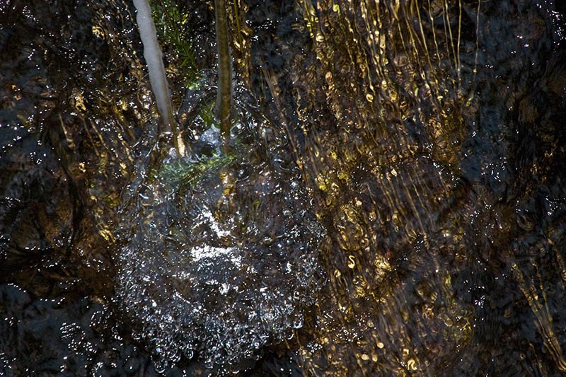 Ice in Marie Canyon #2