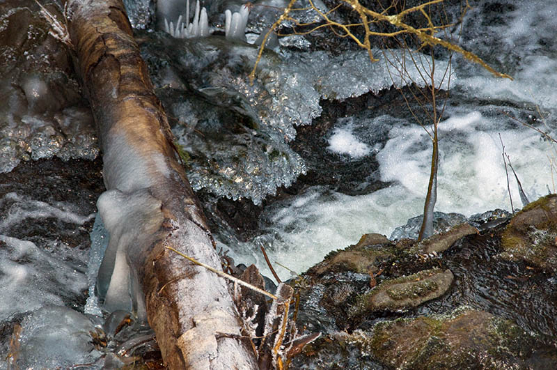 Ice in Marie Canyon #1