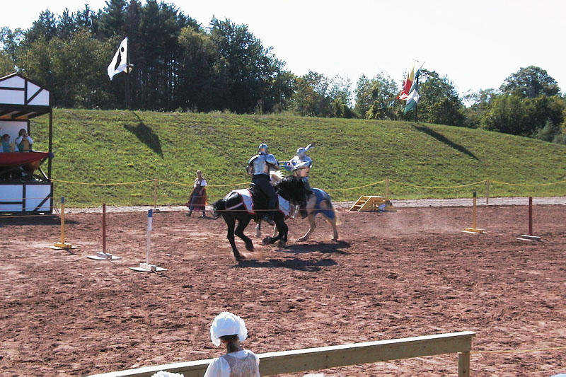 The joust