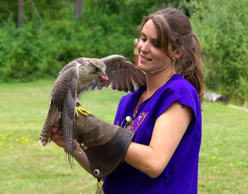 Falconry