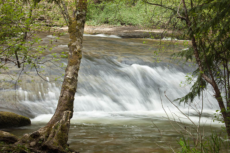 Millstone River - Rapids