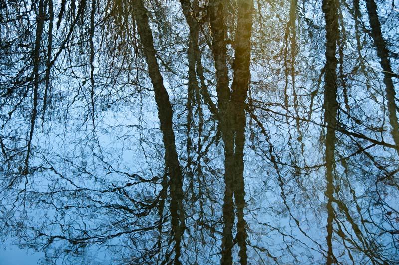 reflect-a-pond.jpg