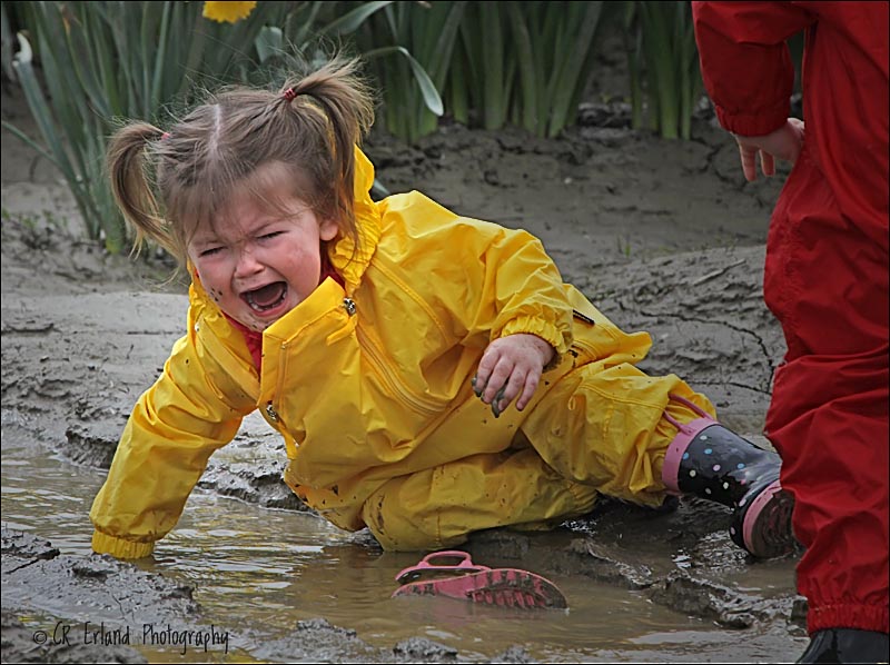 Disaster in the Daffodils