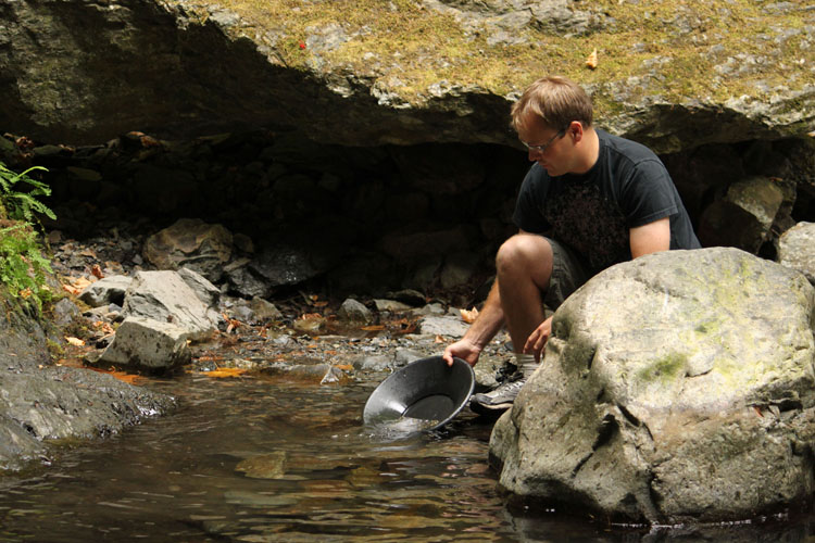 Gold in Goldstream?