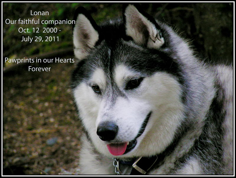 A Memorial for Lonan