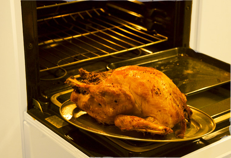 T: traditional turkey 