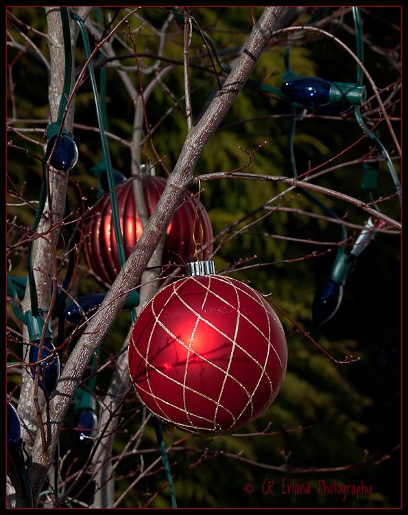 O: Outdoor Ornaments