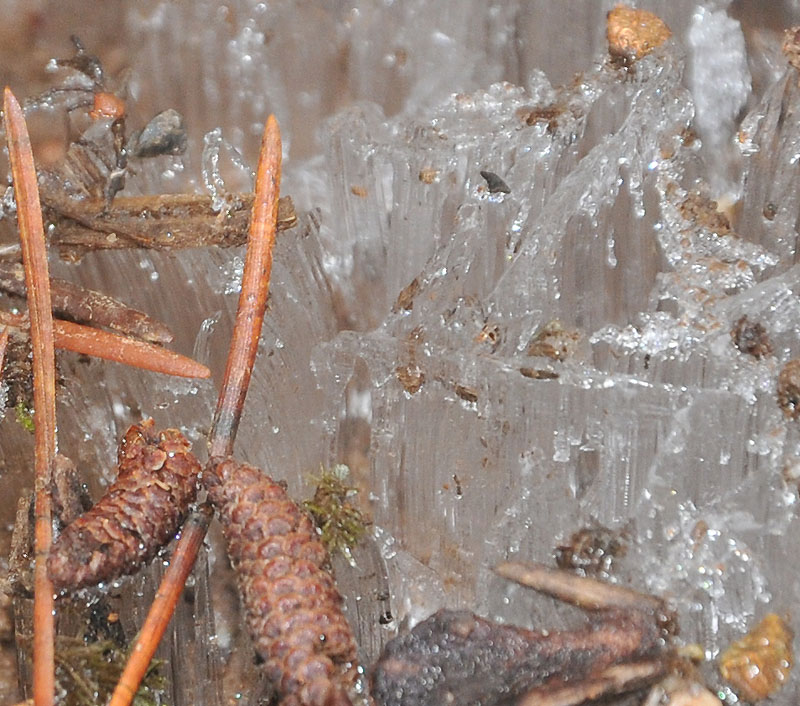 Tiny Ice Columns