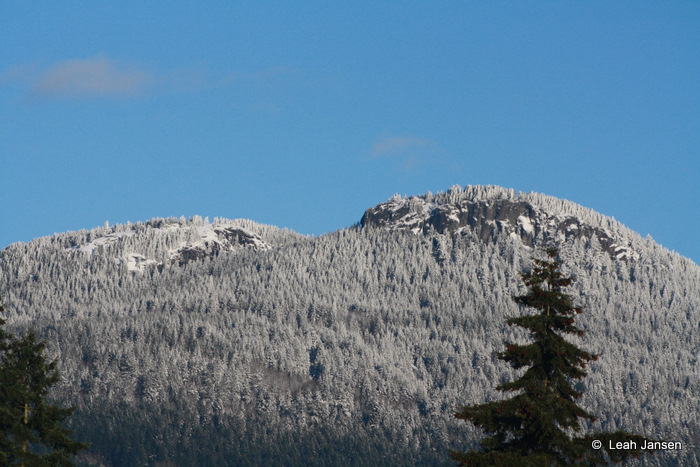 Light dusting on the bust line of Duncan