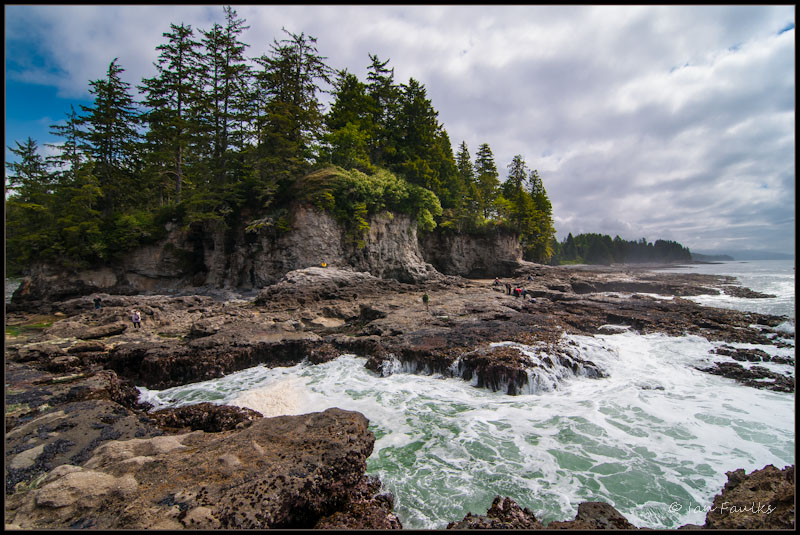 Botanical headland