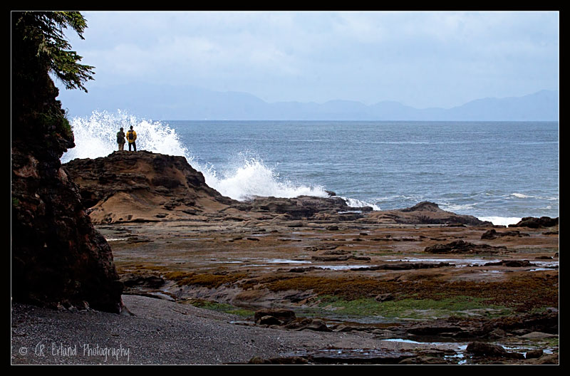 Botanical Beach Provincial Park