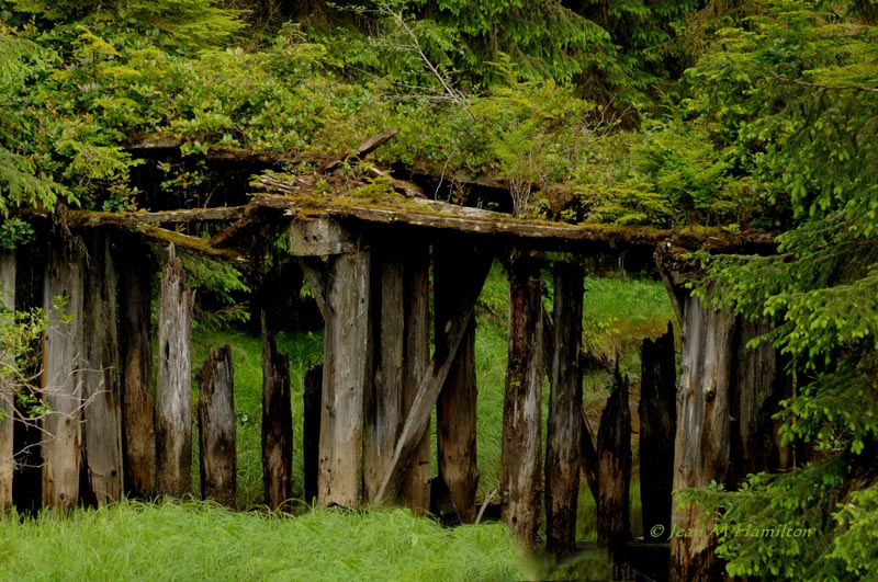 Abandoned Bridge