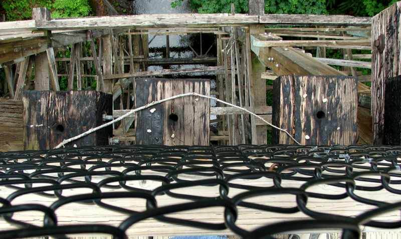 The Holt Creek Trestle on the Trans Canada Trail