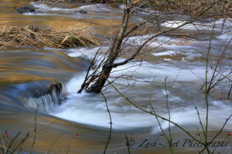 Millstreams Golden Hour