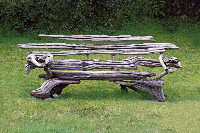 Driftwood Resting 