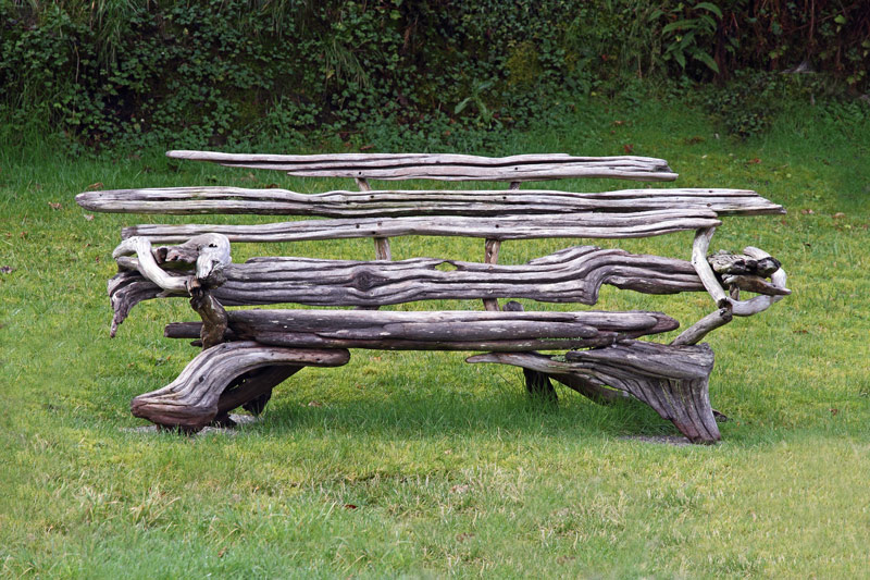 Driftwood Resting
