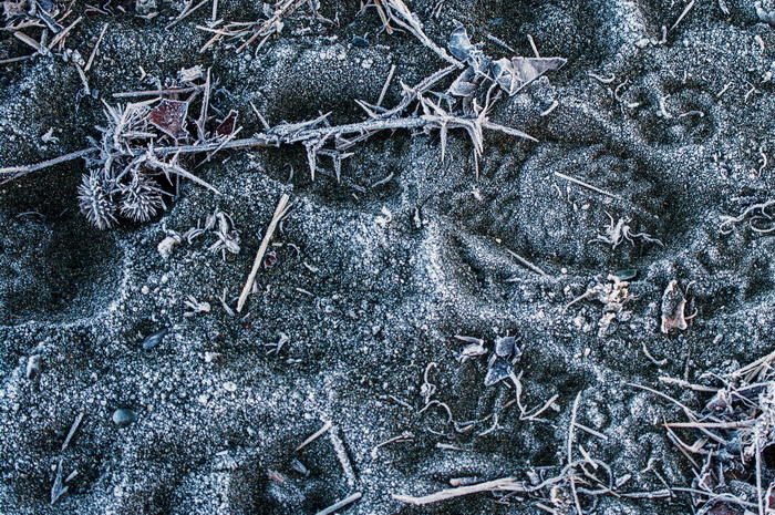 frosty foot prints.jpg