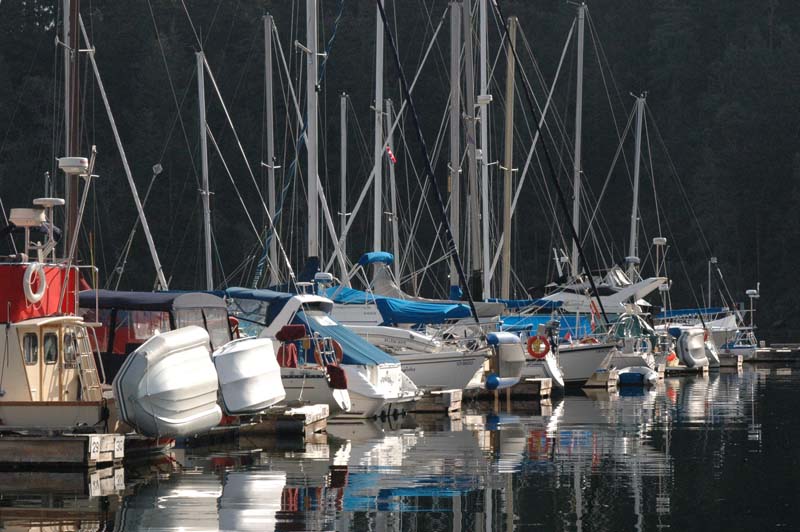 Morning Sun on the Masts