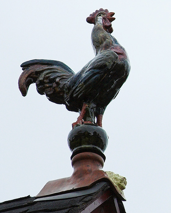 Cock Of The Roof