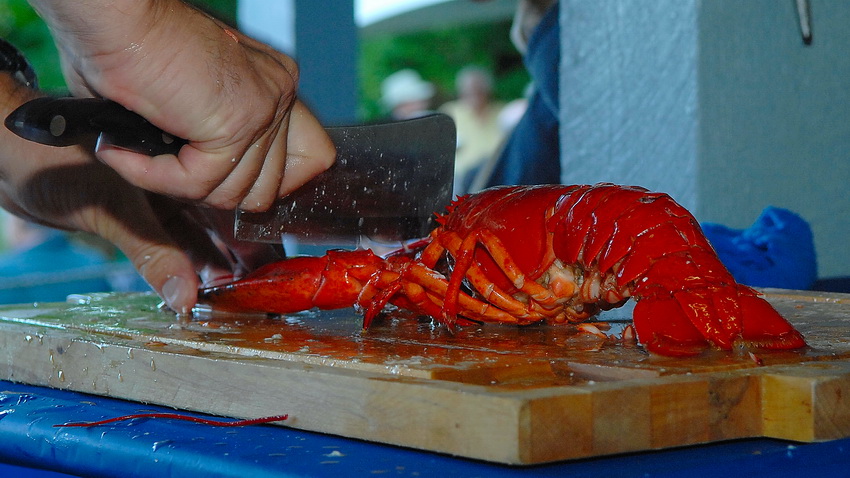 Lobster Fest