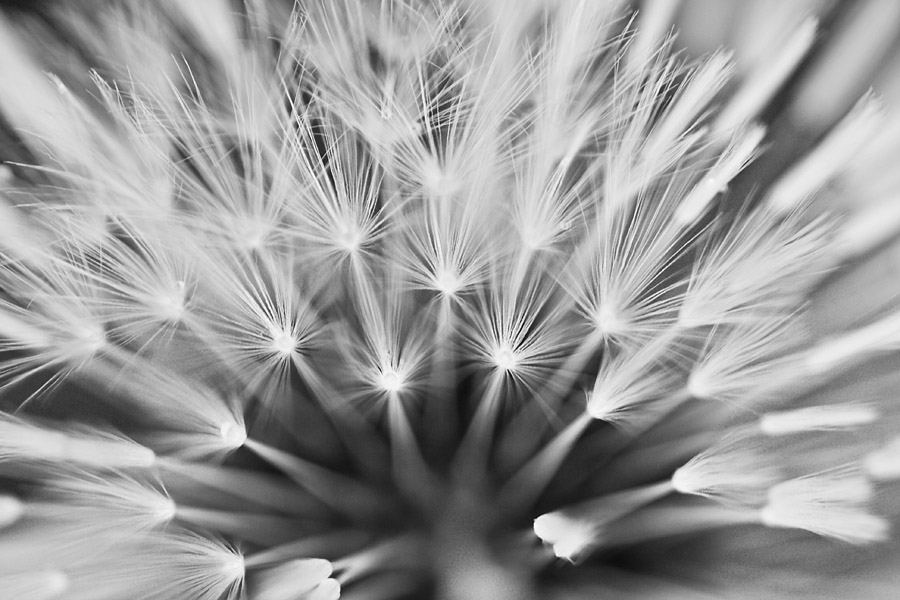 6 May... Exploding star